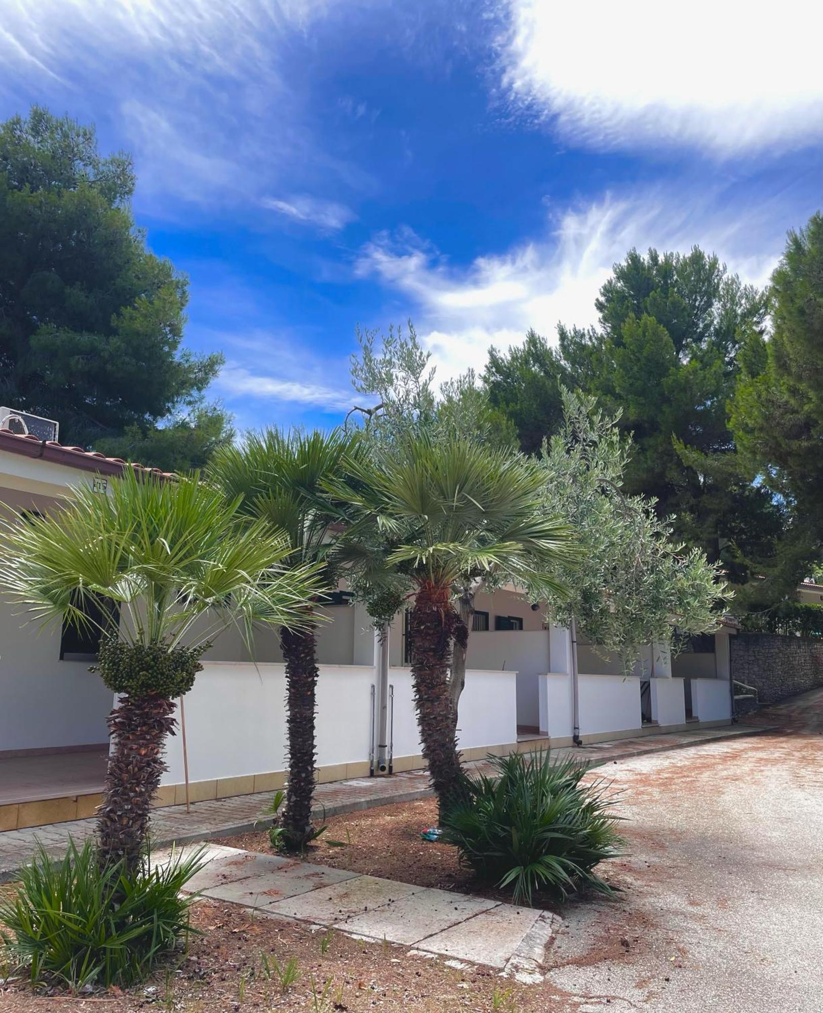 Villaggio La Giara Vieste Bagian luar foto
